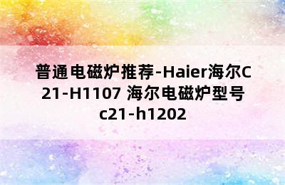 普通电磁炉推荐-Haier海尔C21-H1107 海尔电磁炉型号c21-h1202